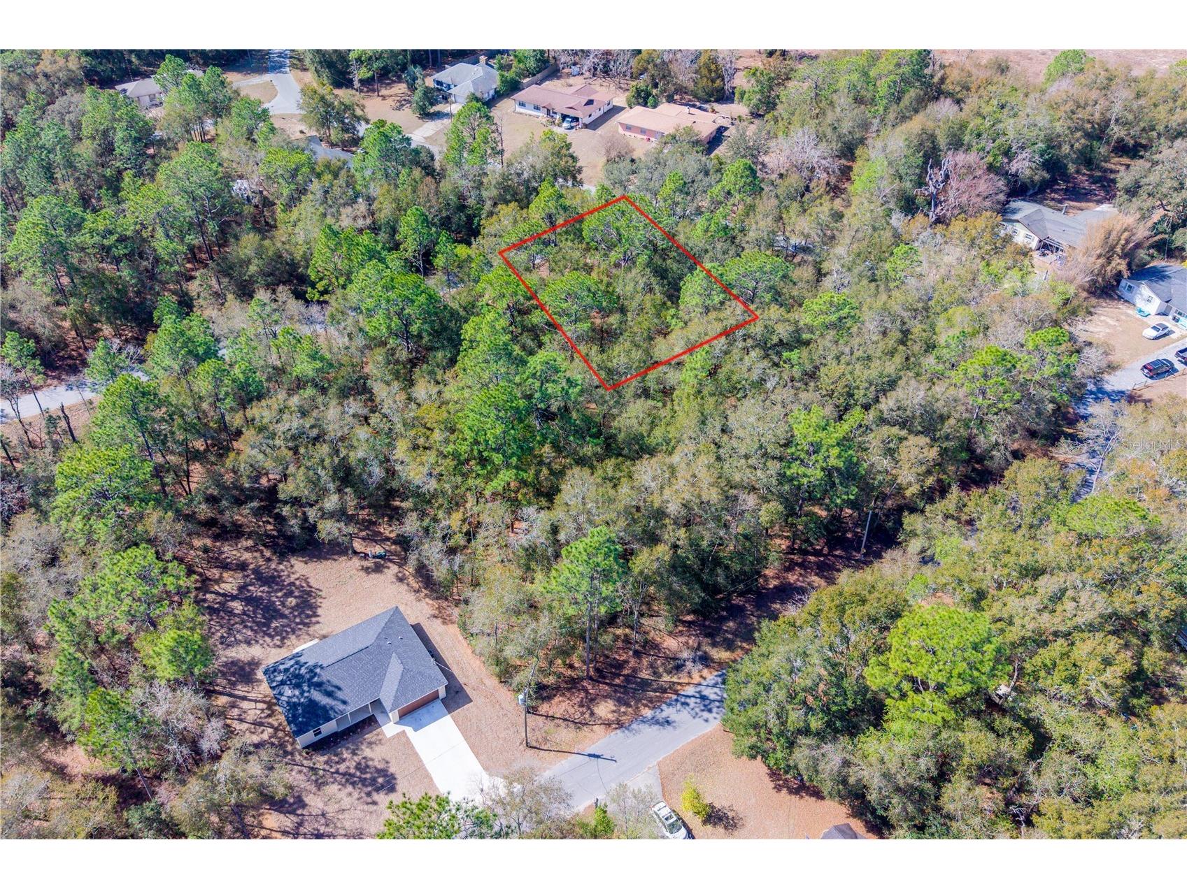 TBD NE 1st Pl Lot 6 Williston FL 32696 GC537767 image4