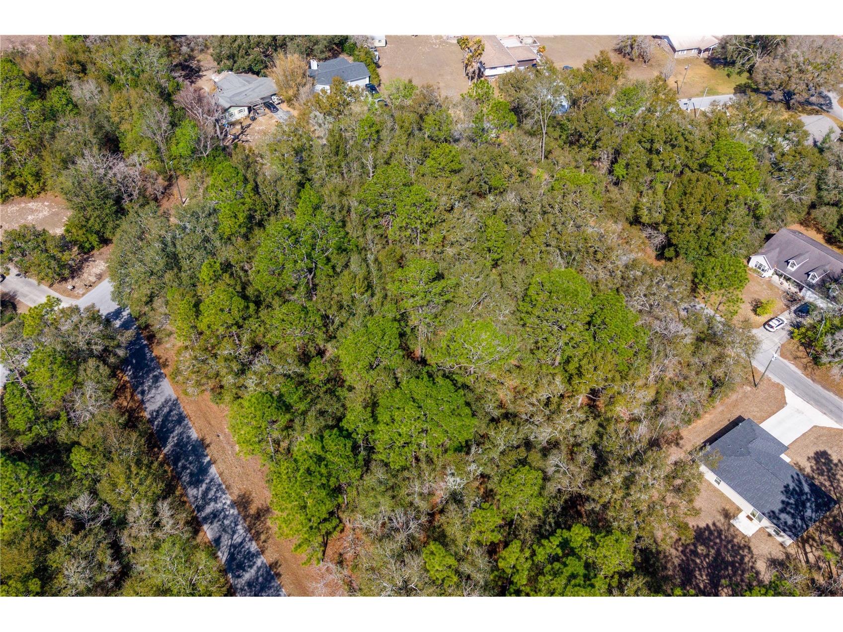 TBD NE 1st Pl Lot 6 Williston FL 32696 GC537767 image6