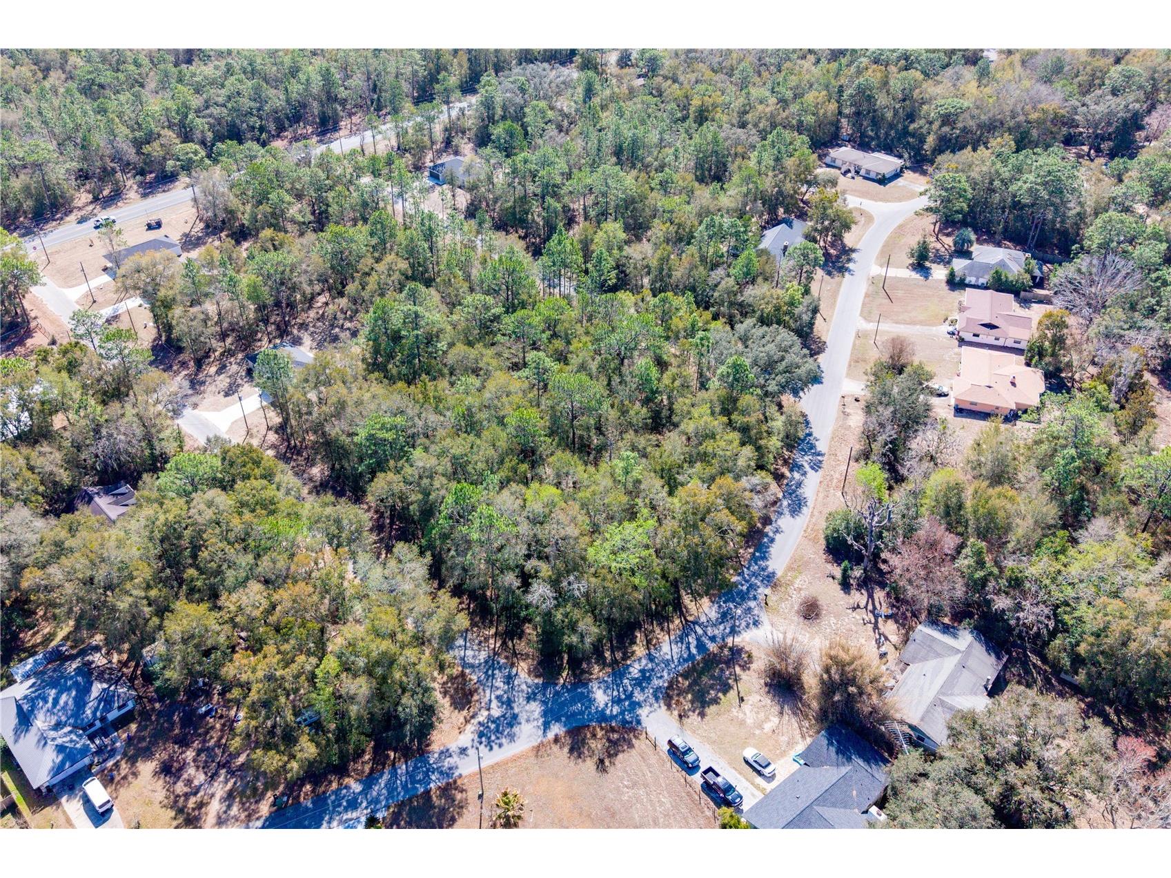 TBD NE 1st Pl Lot 6 Williston FL 32696 GC537767 image7