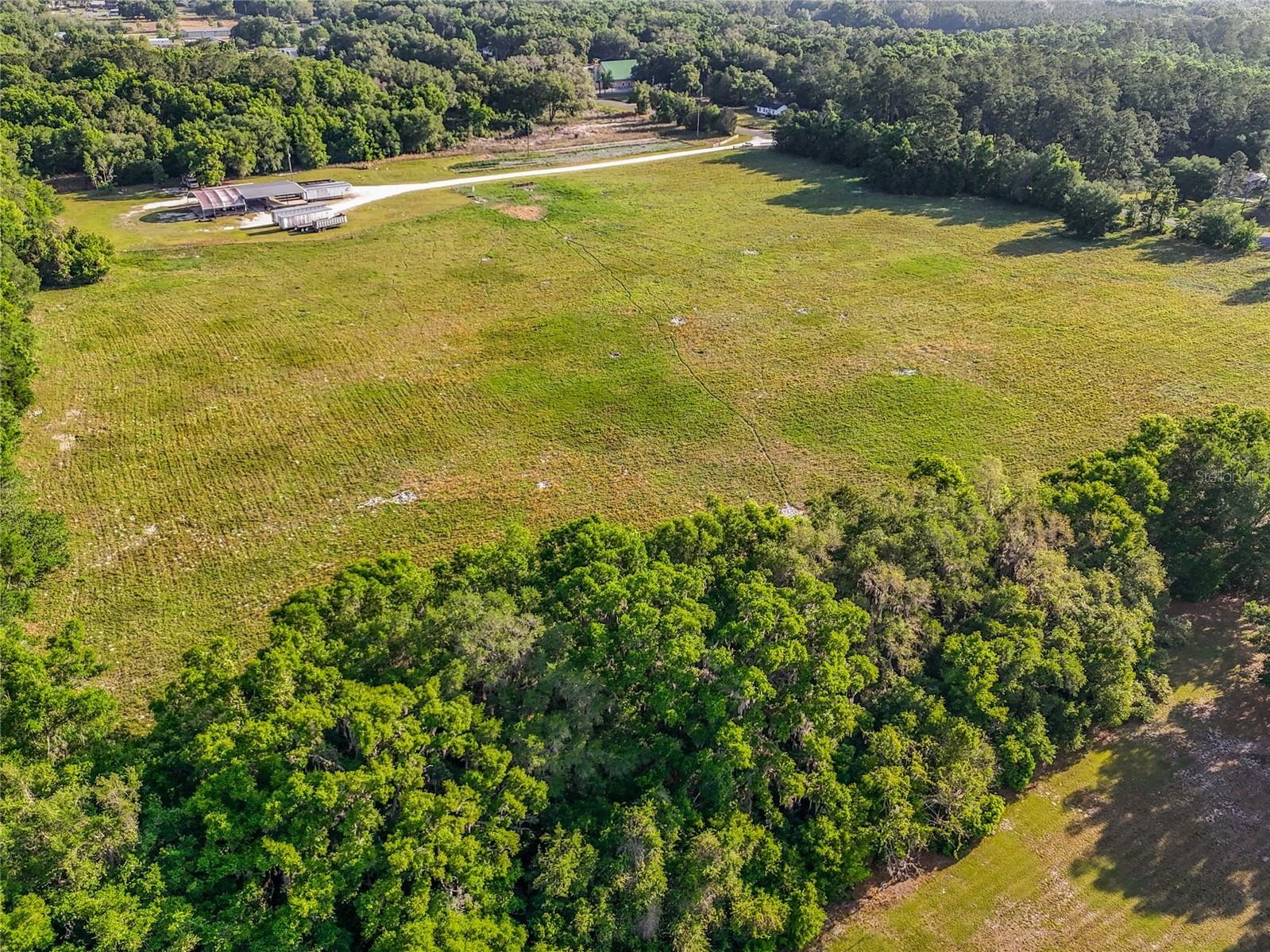 TBD NE 195th Avenue Williston FL 32696 OM723181 image20
