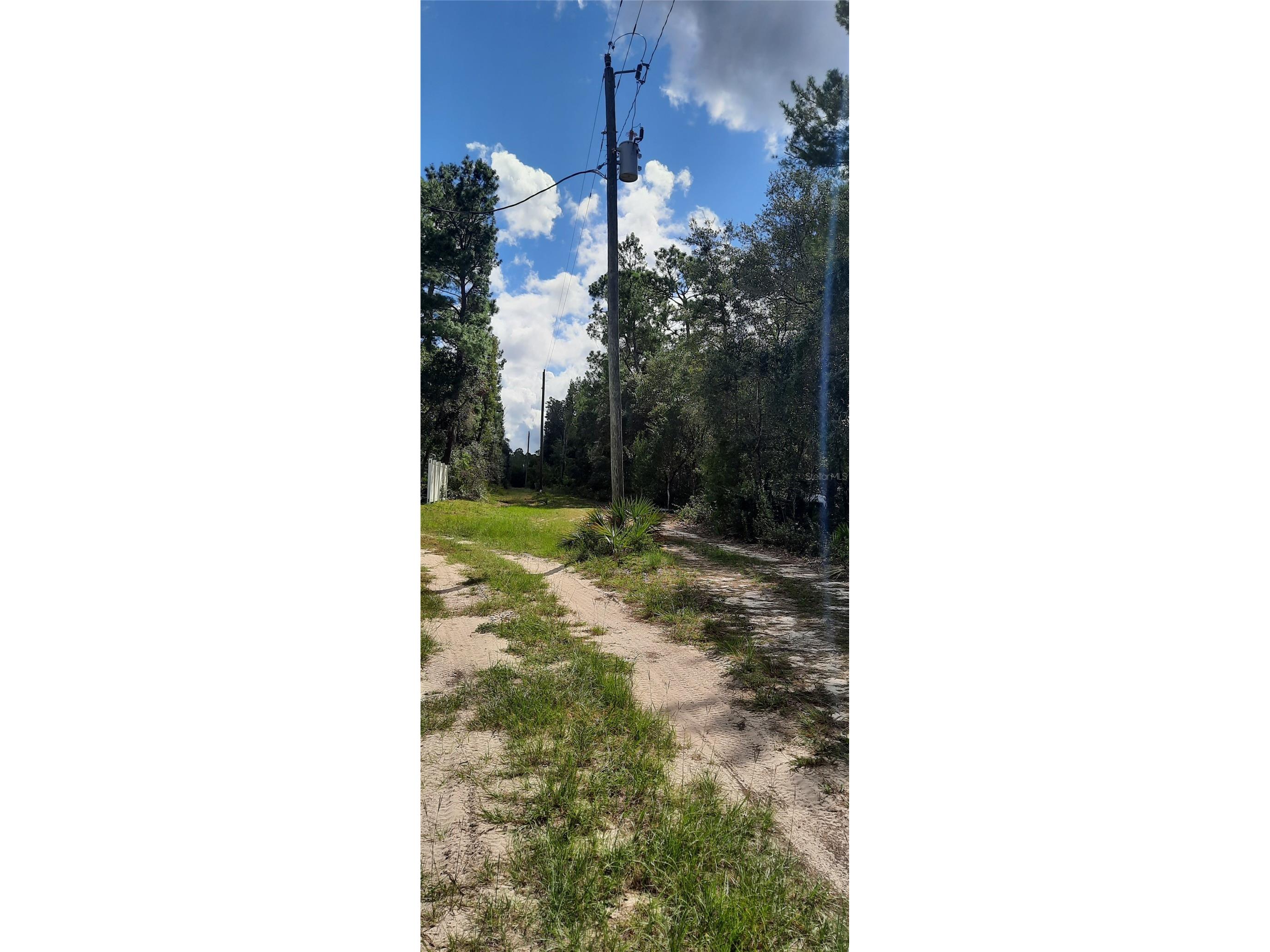 TBD NE 201st Place Fort Mc Coy FL 32134 OM728198 image6
