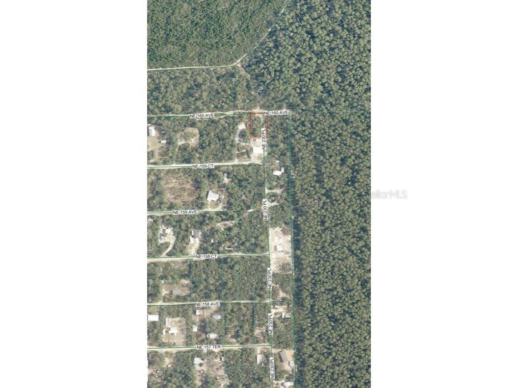 TBD NE 213th Street Fort Mc Coy FL 32134 OM721496 image1