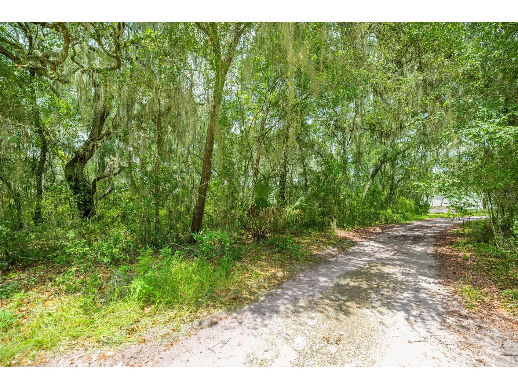 TBD NE 224th Place Fort Mc Coy FL 32134 - MILES KALE LAKE OM706135 image10