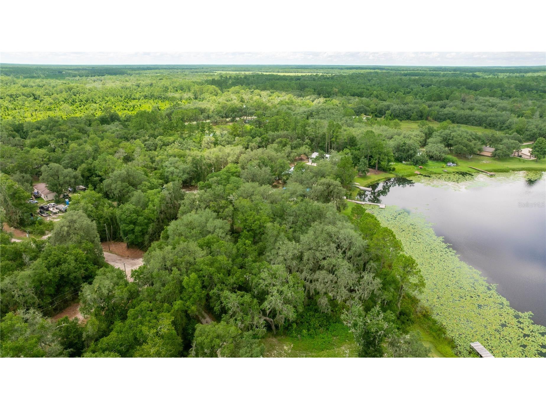 TBD NE 224th Place Fort Mc Coy FL 32134 - MILES KALE LAKE OM706135 image2