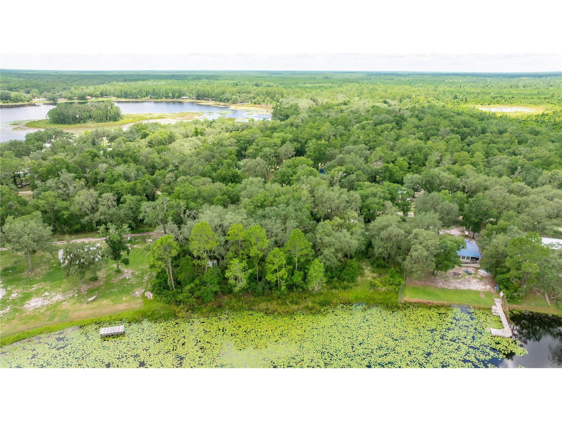 TBD NE 224th Place Fort Mc Coy FL 32134 - MILES KALE LAKE OM706135 image3