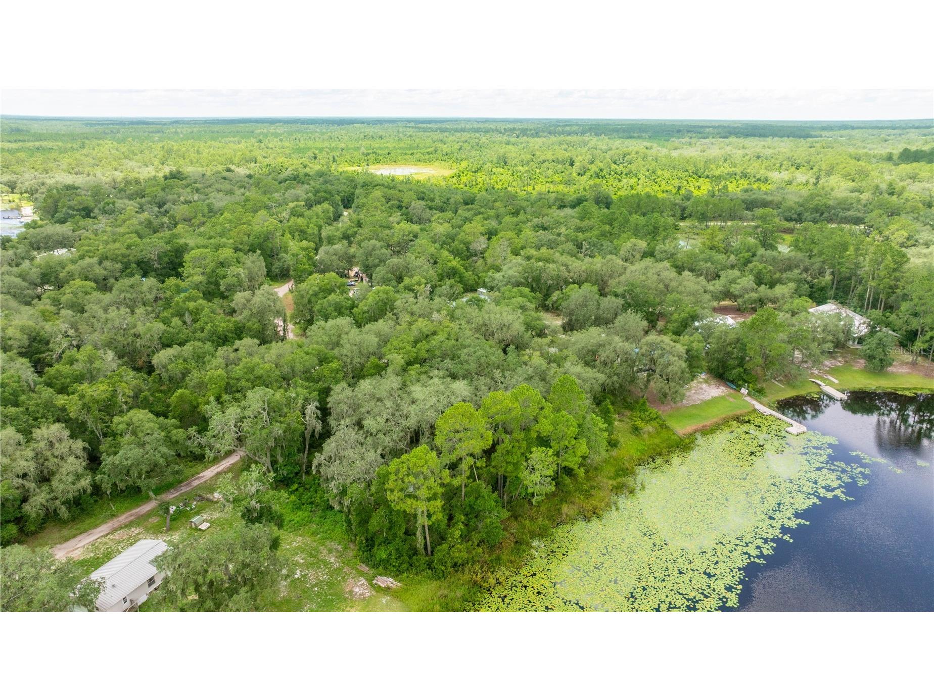 TBD NE 224th Place Fort Mc Coy FL 32134 - MILES KALE LAKE OM706135 image6