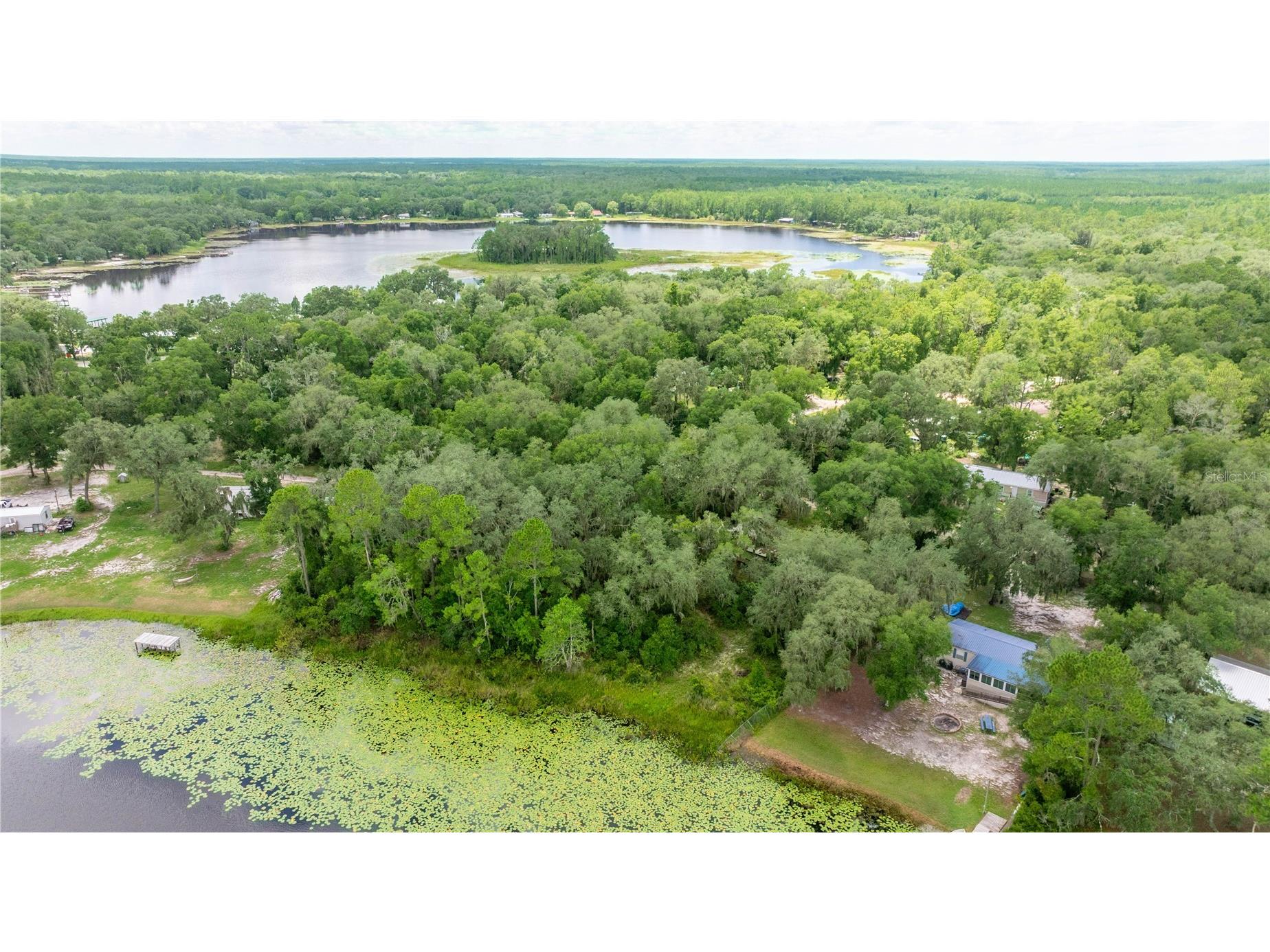 TBD NE 224th Place Fort Mc Coy FL 32134 - MILES KALE LAKE OM706135 image7