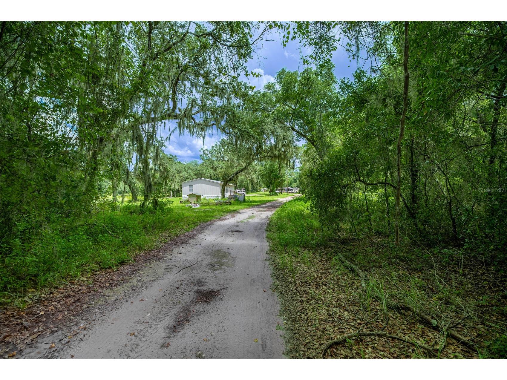 TBD NE 224th Place Fort Mc Coy FL 32134 - MILES KALE LAKE OM706135 image9