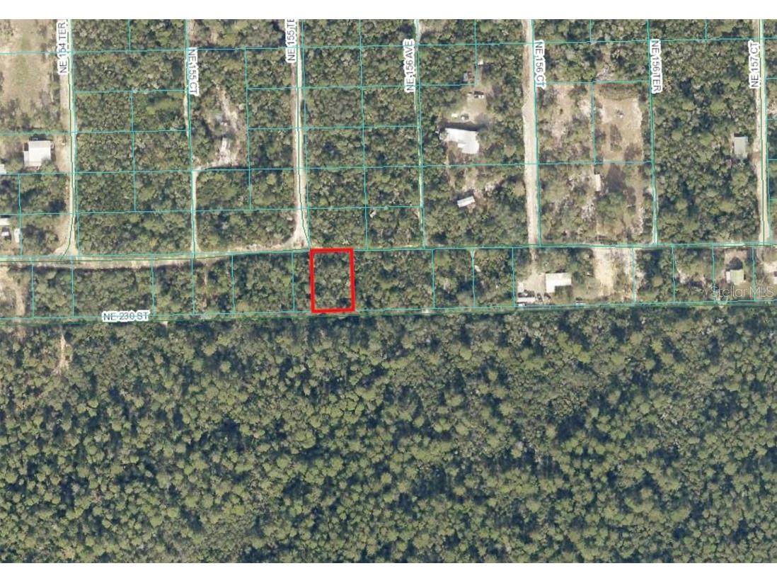 TBD NE 230th Place Fort Mc Coy FL 32134 OM694644 image1