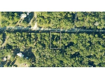 TBD NE 230th Street Fort Mc Coy FL 32134 OM661923 image1