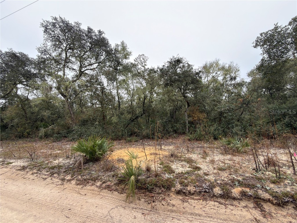 TBD NE 234th Place Fort Mc Coy FL 32134 OM714762 image2