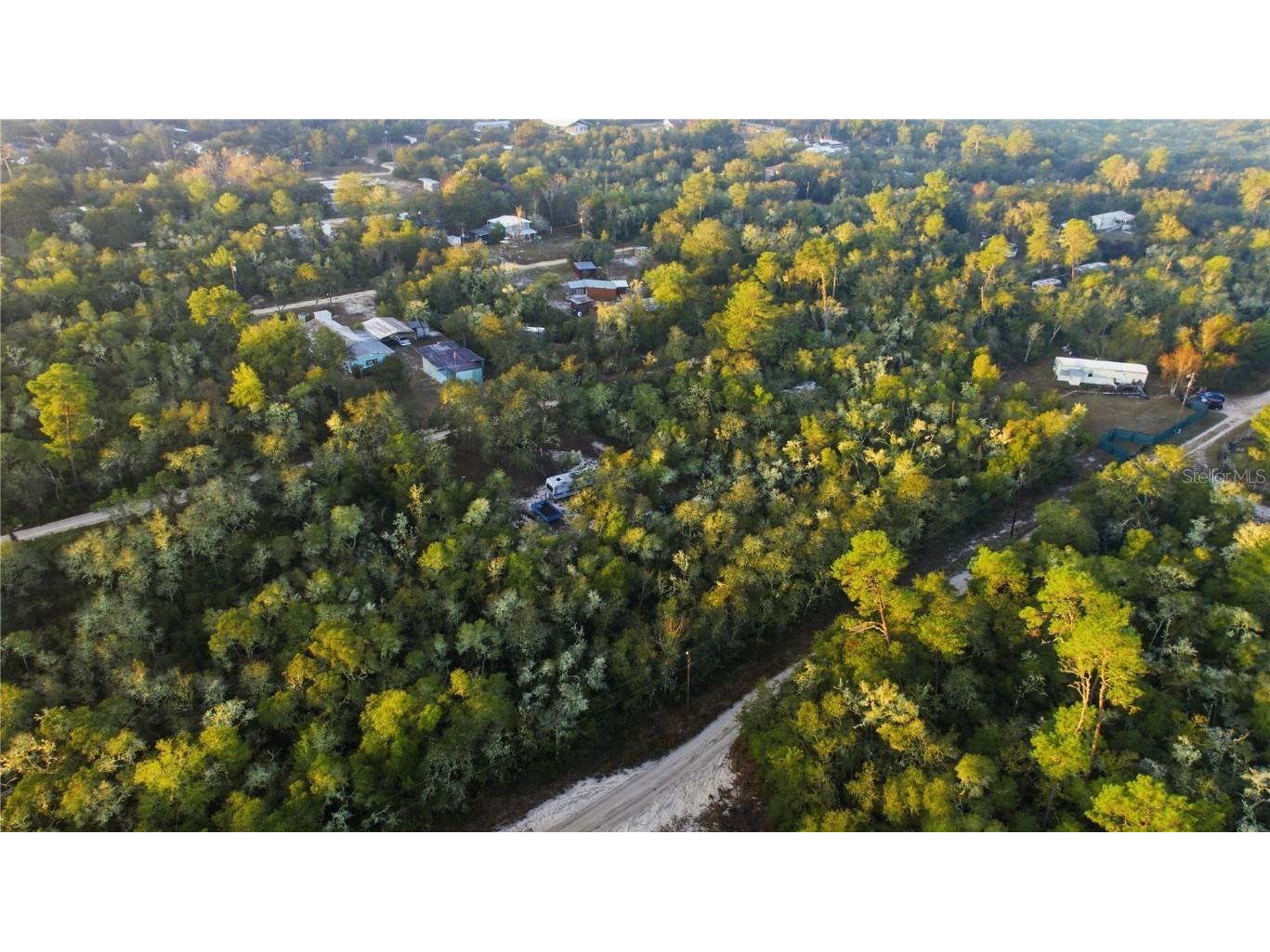 TBD NE 234th Place Fort Mc Coy FL 32134 OM714762 image8