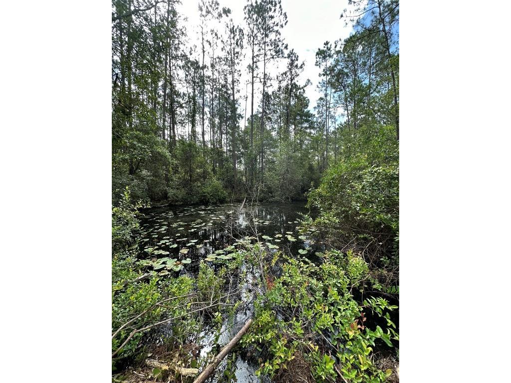 TBD NE 234th Place Road Fort Mc Coy FL 32134 - Canal OM661974 image1