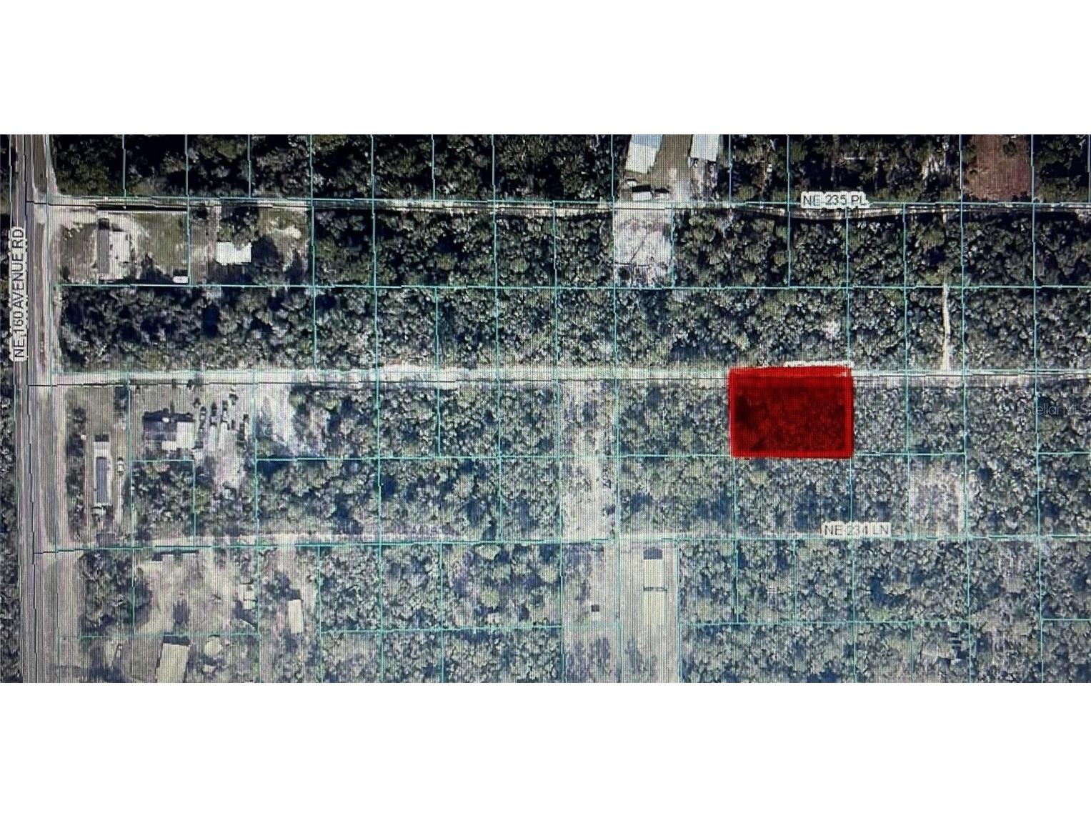 TBD NE 235th Street #ROAD 12 Fort Mc Coy FL 32134 OM711340 image1
