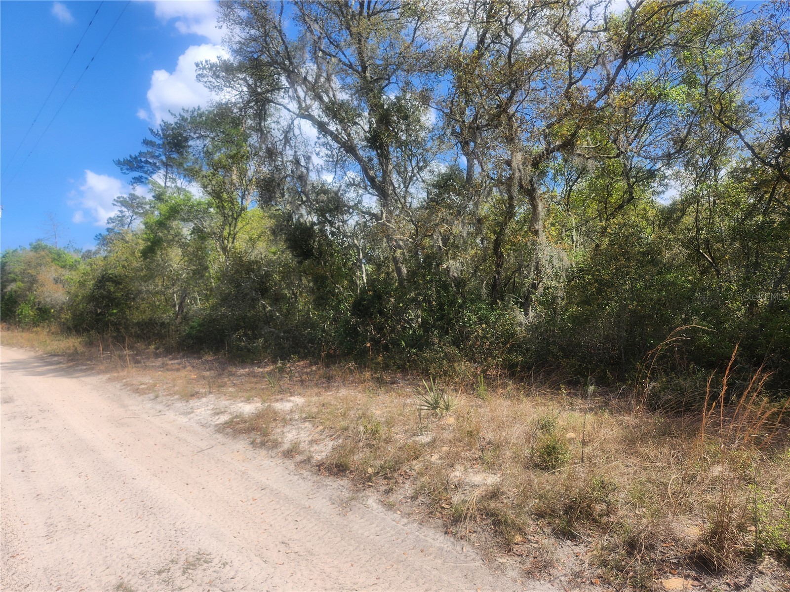 TBD NE 236 Lane Orange Springs FL 32182 OM722569 image2