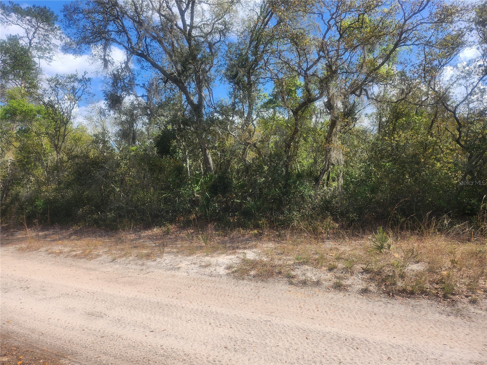 TBD NE 236 Lane Orange Springs FL 32182 OM722569 image3