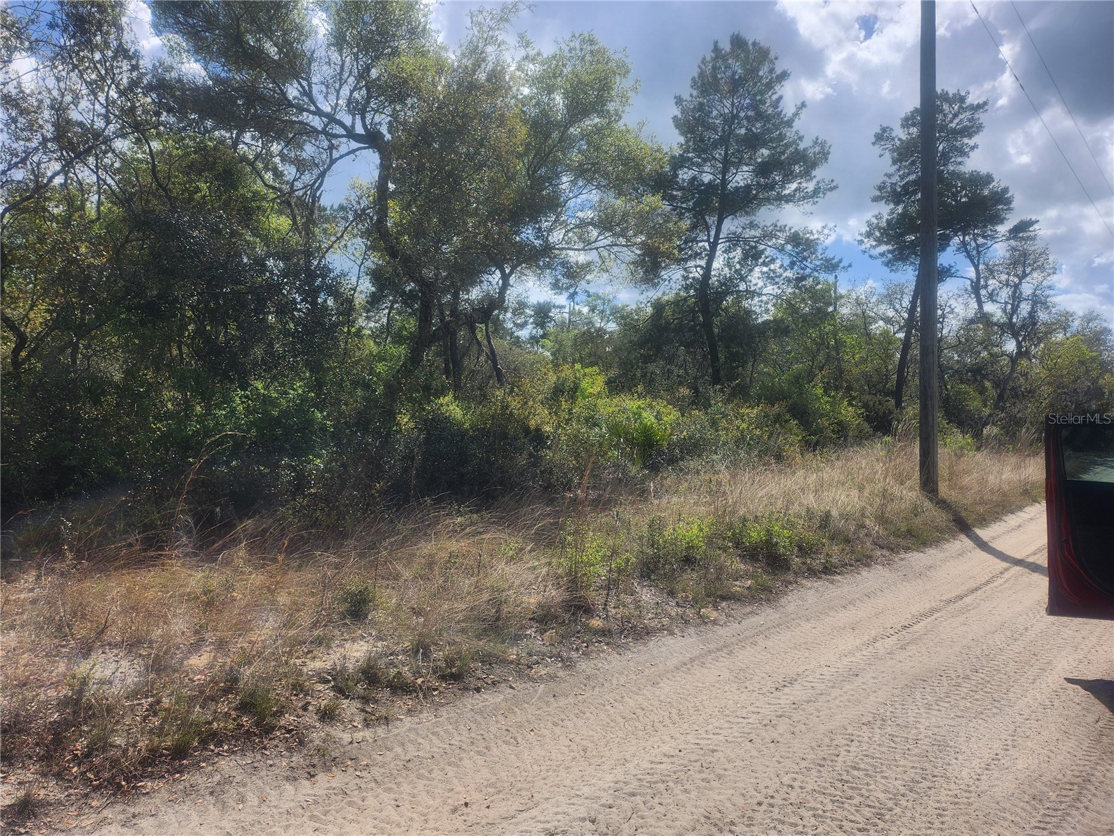 TBD NE 236 Lane Orange Springs FL 32182 OM722569 image4