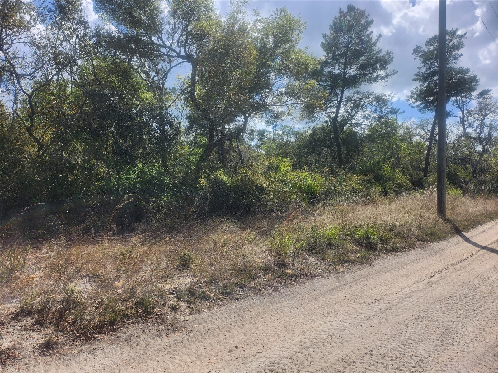 TBD NE 236 Lane Orange Springs FL 32182 OM722569 image5