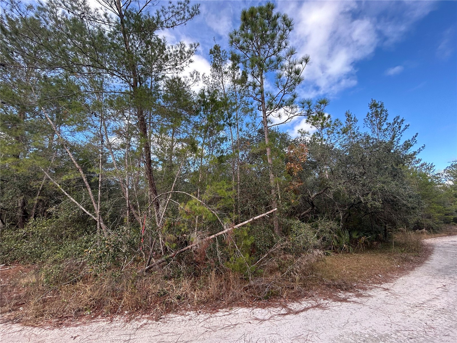 TBD NE 236 Place Fort Mc Coy FL 32134 OM691049 image1
