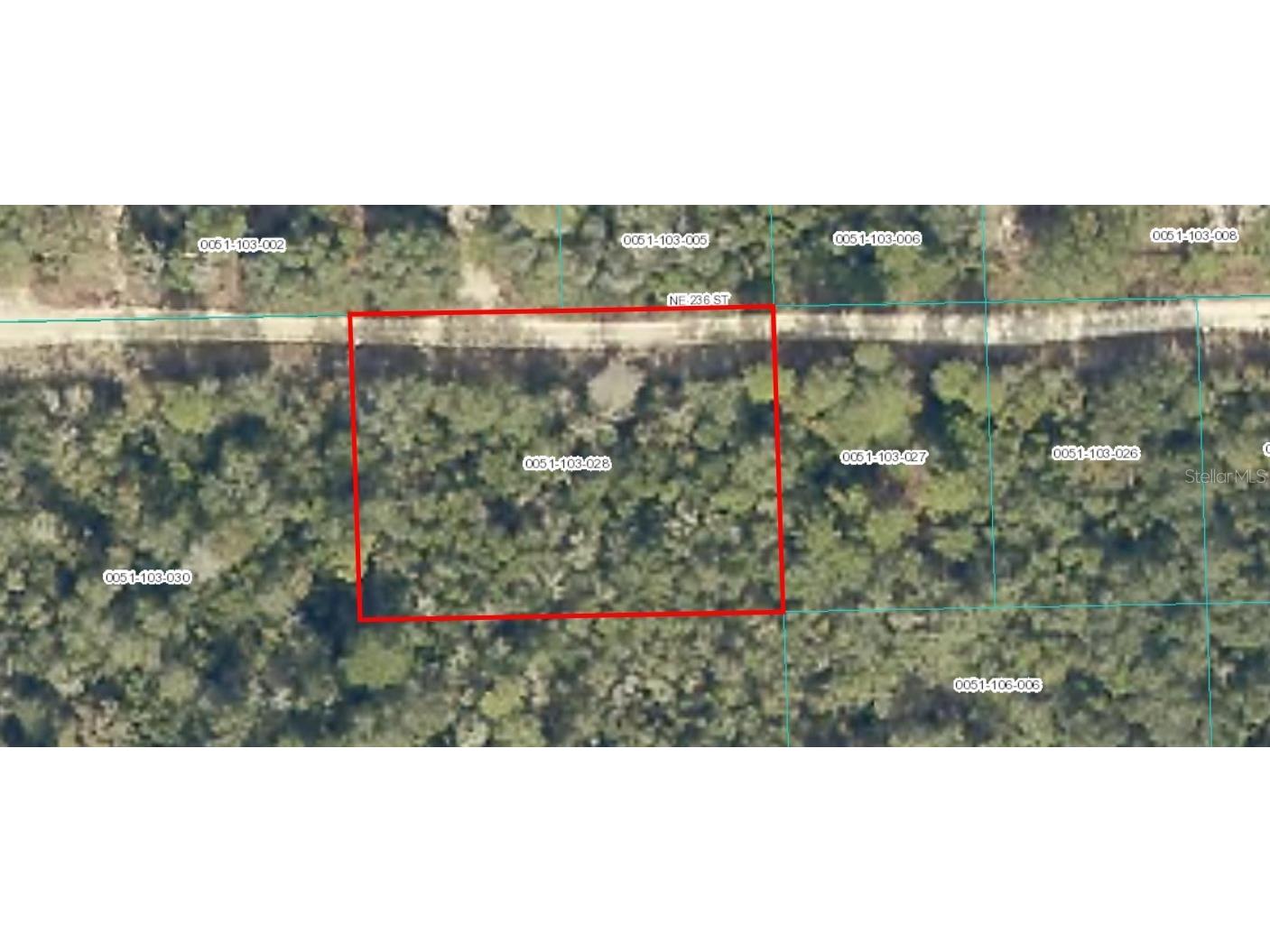 TBD NE 236 Street Fort Mc Coy FL 32134 GC531447 image1
