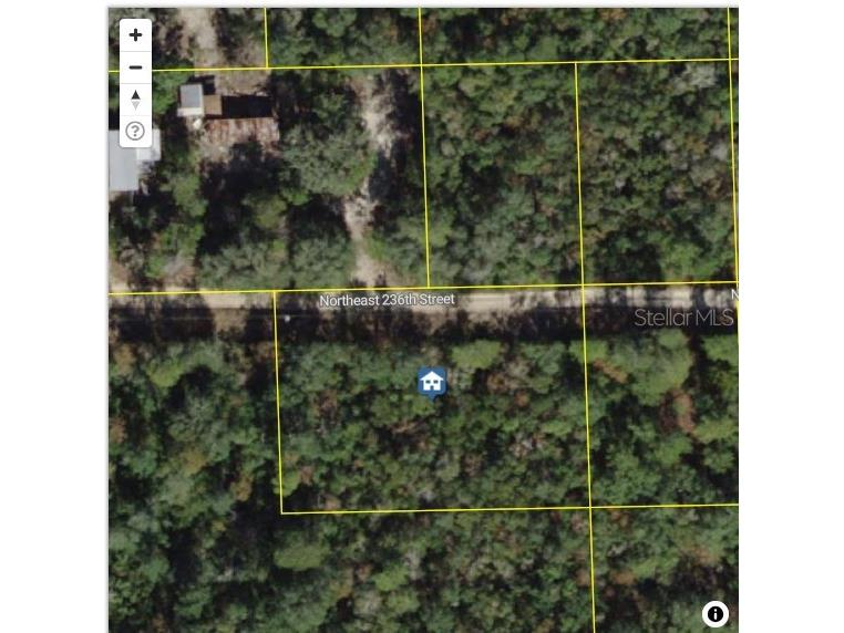 TBD NE 236 Street Fort Mc Coy FL 32134 GC531447 image4