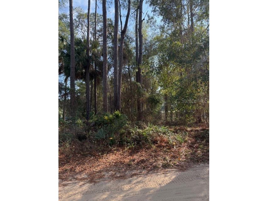 TBD NE 236 Terrace Fort Mc Coy FL 32134 OM716278 image3