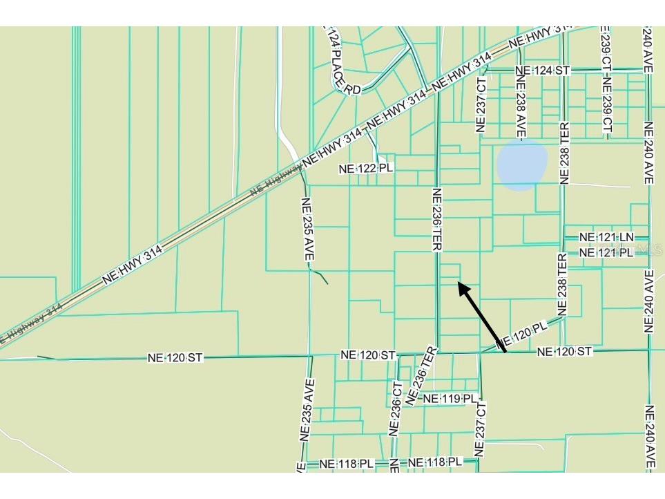 TBD NE 236 Terrace Fort Mc Coy FL 32134 OM716278 image5