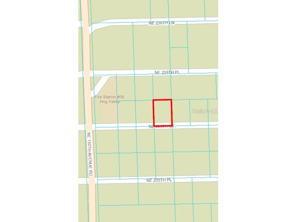 TBD NE 236th Street Fort Mc Coy FL 32134 T3461119 image1