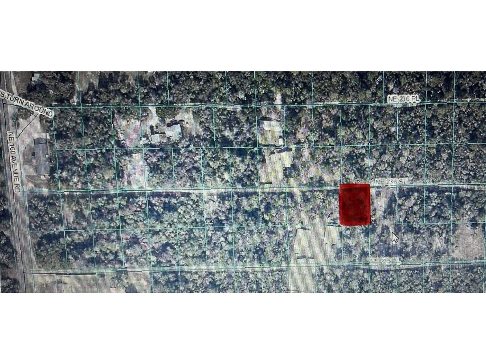 TBD NE 236th Street #RD 10 Fort Mc Coy FL 32134 OM711337 image1