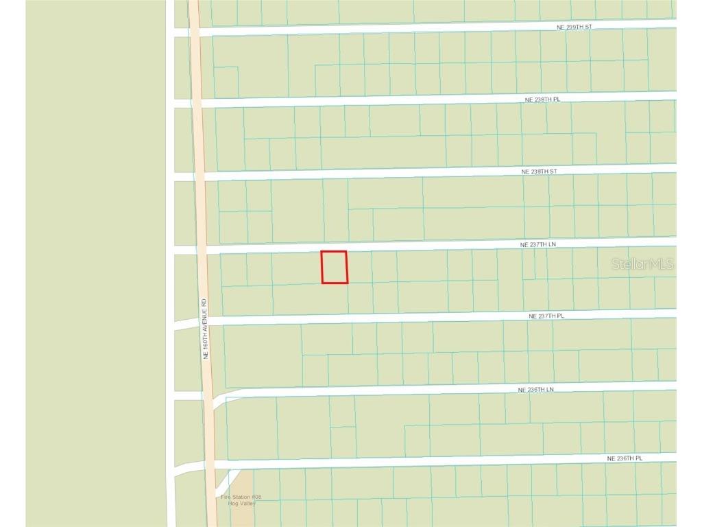 TBD NE 237 Lane Fort Mc Coy FL 32134 OM637542 image1