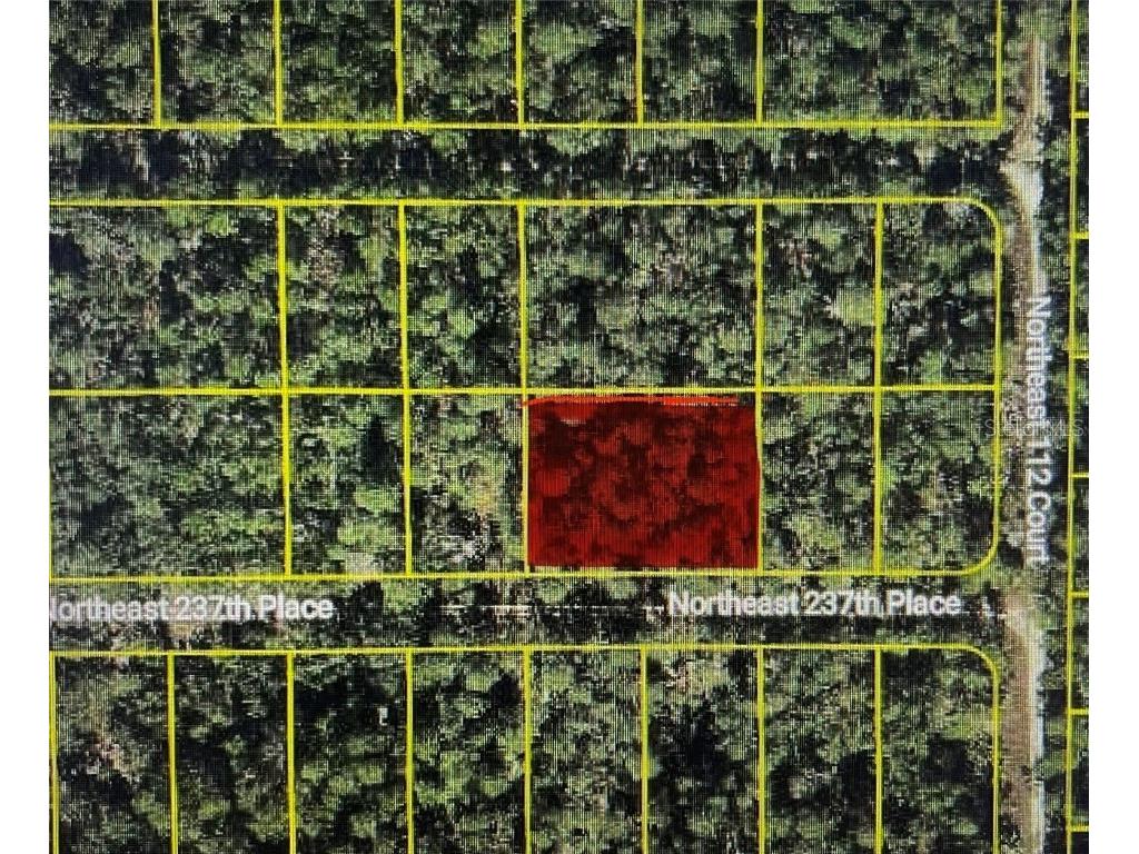 TBD NE 237th Place Fort Mc Coy FL 32134 OM711343 image1