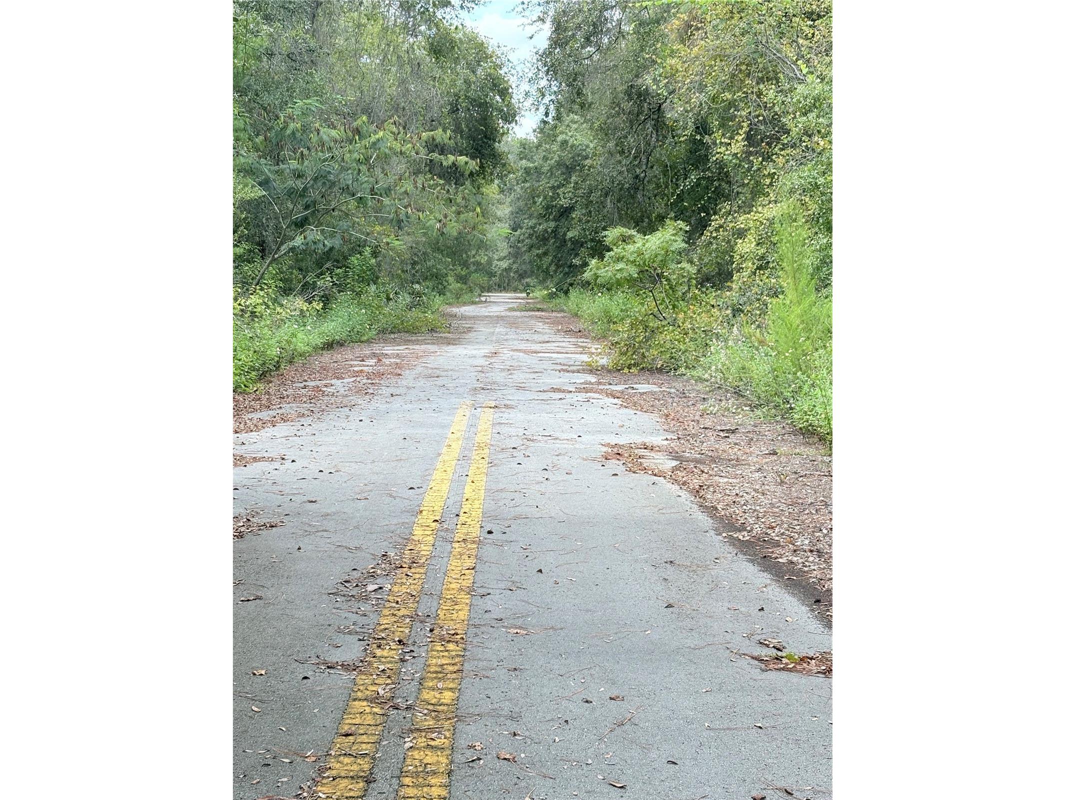TBD NE 237th Place Fort Mc Coy FL 32134 OM722868 image2