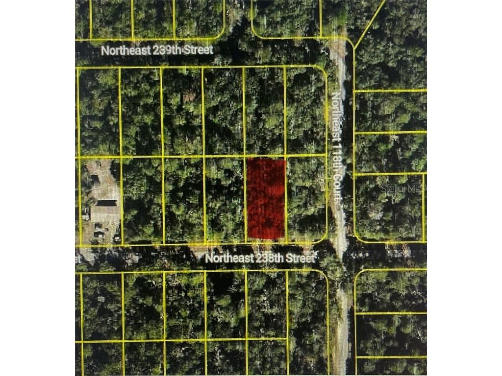 TBD NE 238th St Fort Mc Coy FL 32134 OM711163 image1