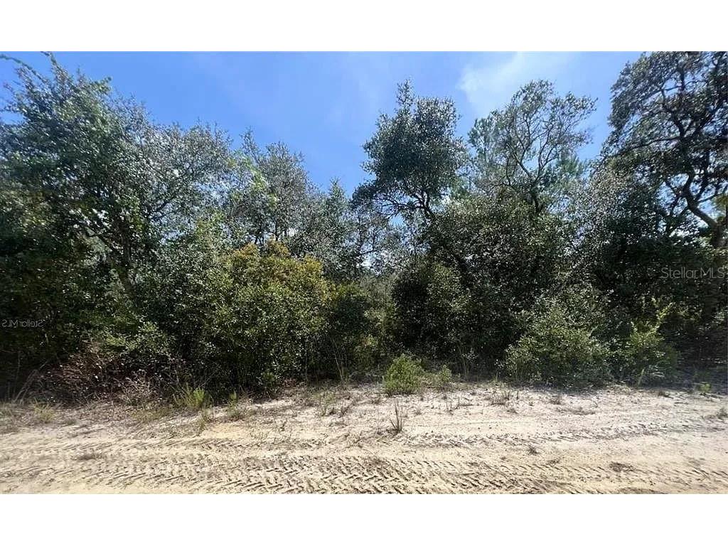 TBD NE 239th Place Fort Mc Coy FL 32134 A4673817 image3