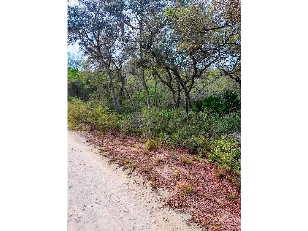 TBD NE 239th Place Fort Mc Coy FL 32134 A4673817 image4