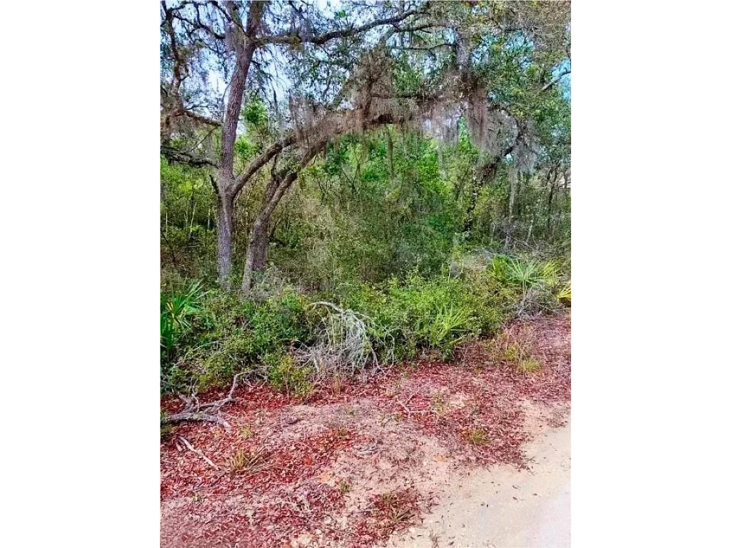 TBD NE 239th Place Fort Mc Coy FL 32134 A4673817 image5