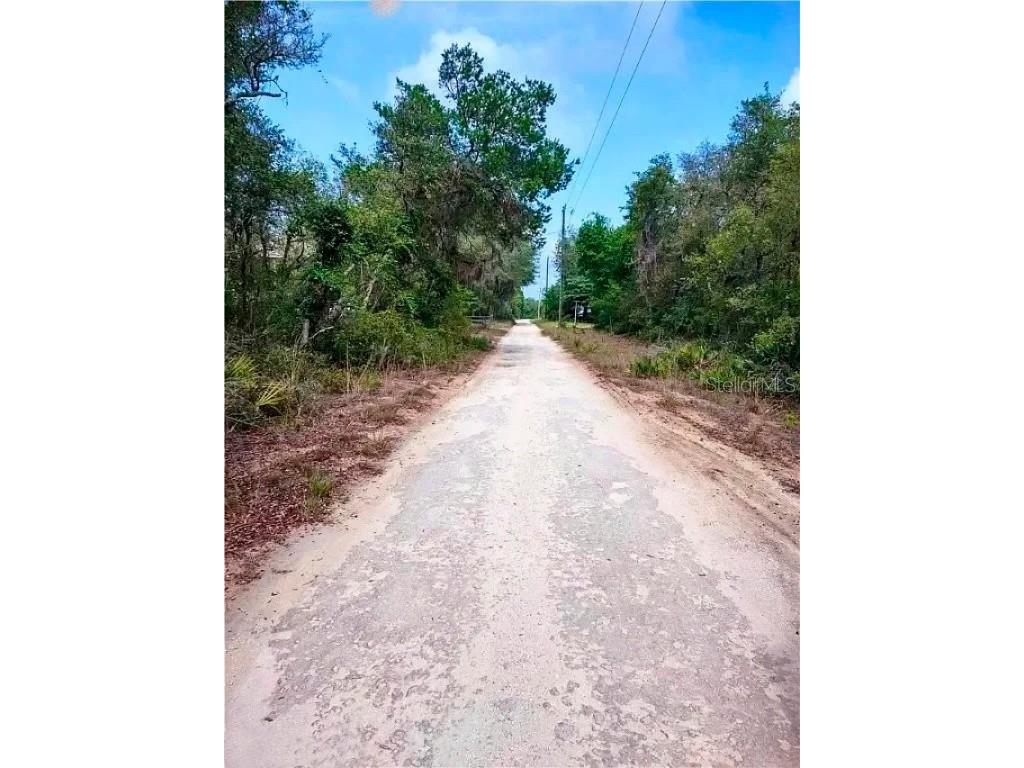 TBD NE 239th Place Fort Mc Coy FL 32134 A4673817 image6