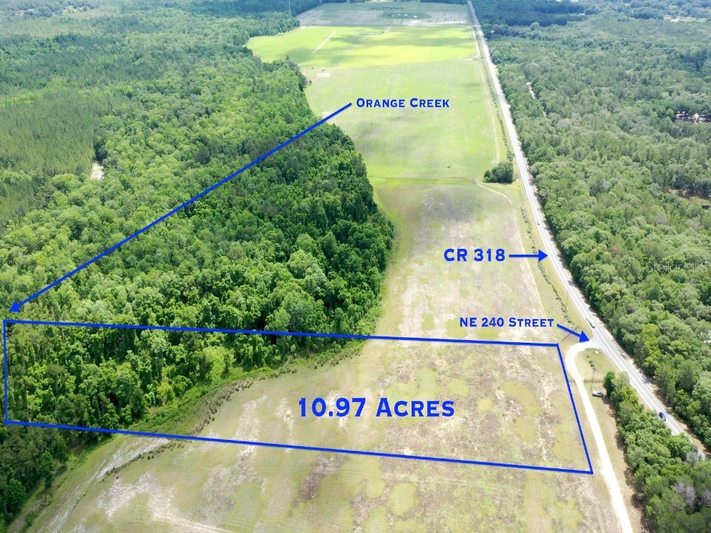 TBD NE 240th Street Fort Mc Coy FL 32134 - ORANGE CREEK OM701254 image1