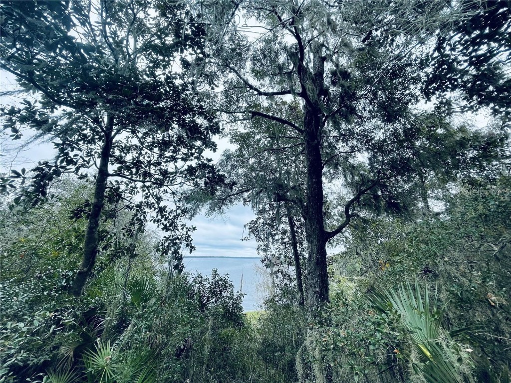 TBD Ne 245th Street Road Fort Mc Coy FL 32134 OM711005 image1