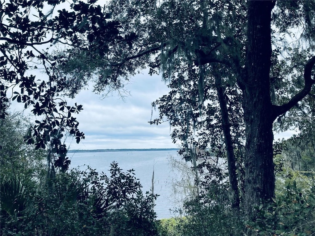 TBD Ne 245th Street Road Fort Mc Coy FL 32134 OM711005 image2