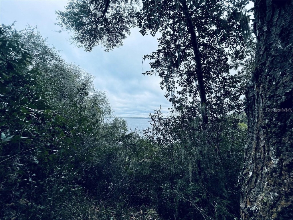 TBD Ne 245th Street Road Fort Mc Coy FL 32134 OM711005 image3