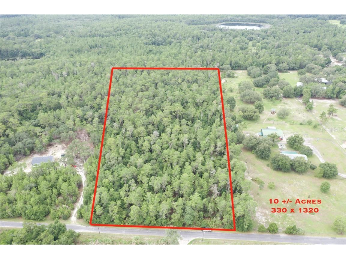 TBD NE 247 Lane Orange Springs FL 32182 OM623024 image1