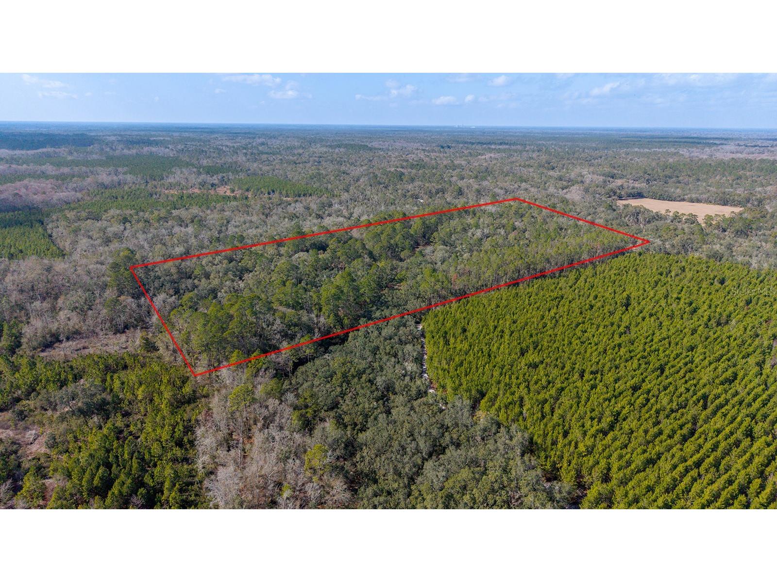 TBD NE 25th Avenue Branford FL 32008 GC537483 image6