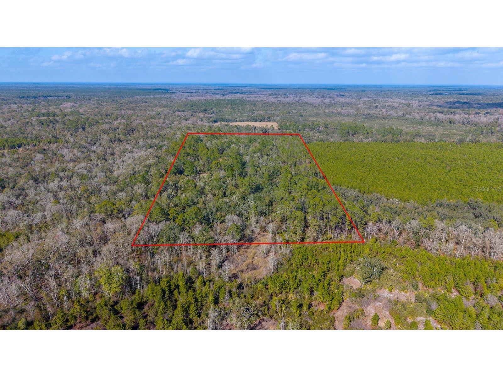 TBD NE 25th Avenue Branford FL 32008 GC537483 image7