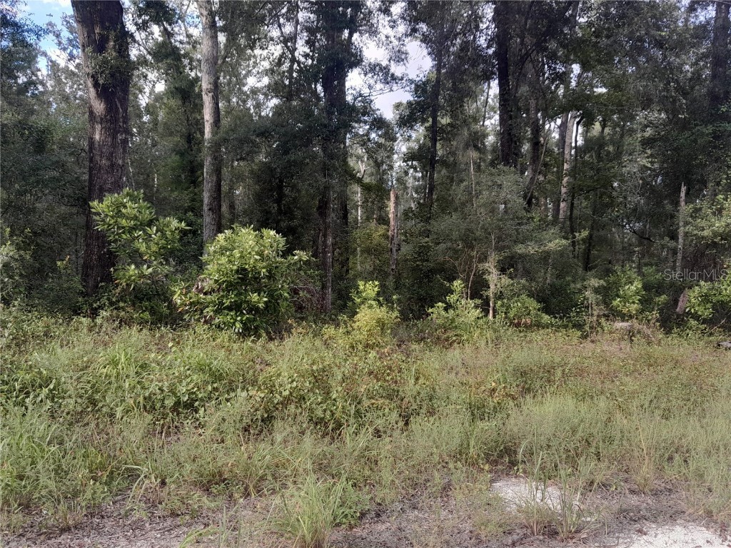 TBD NE 292nd Avenue Old Town FL 32680 OM709572 image2