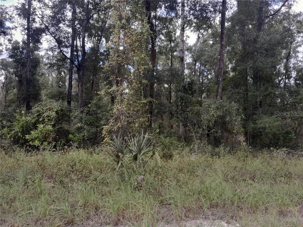 TBD NE 292nd Avenue Old Town FL 32680 OM709572 image3