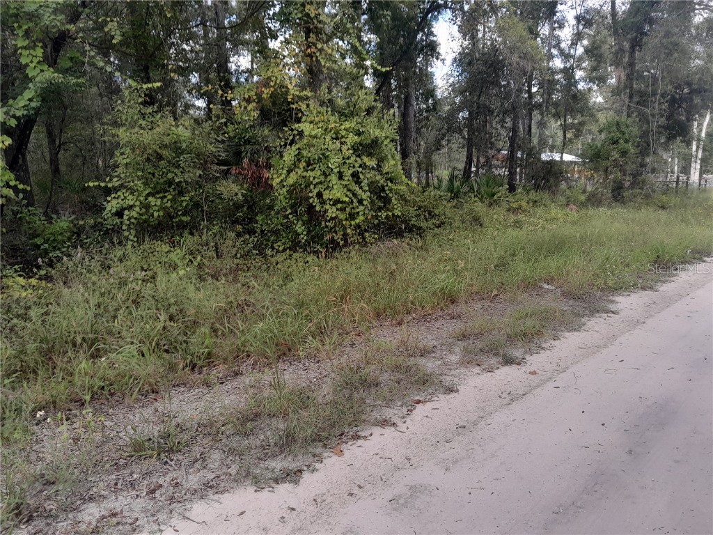 TBD NE 292nd Avenue Old Town FL 32680 OM709572 image6