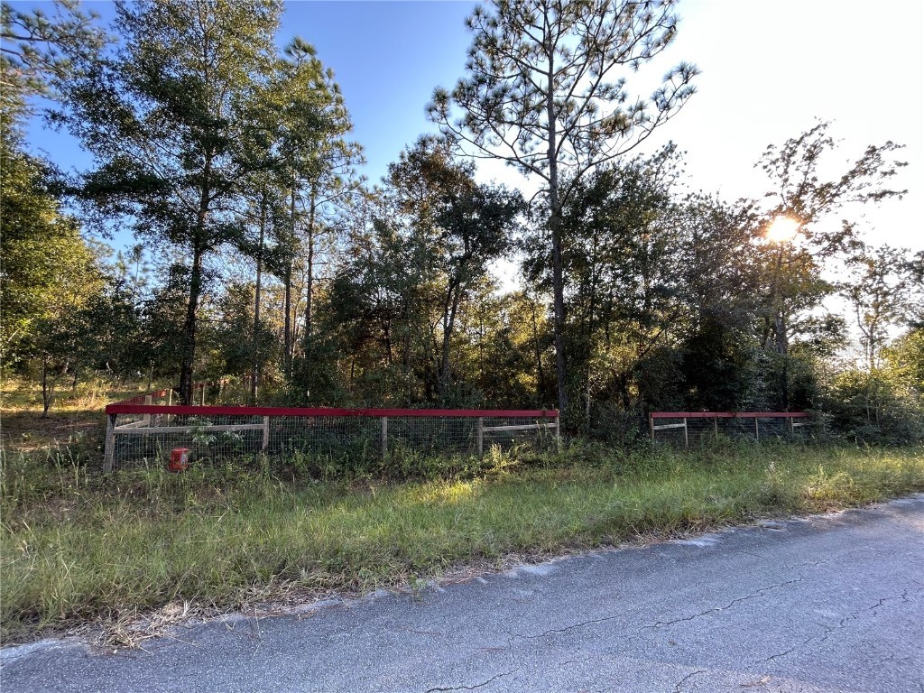 TBD NE 2nd Lane Williston FL 32696 OM711970 image1