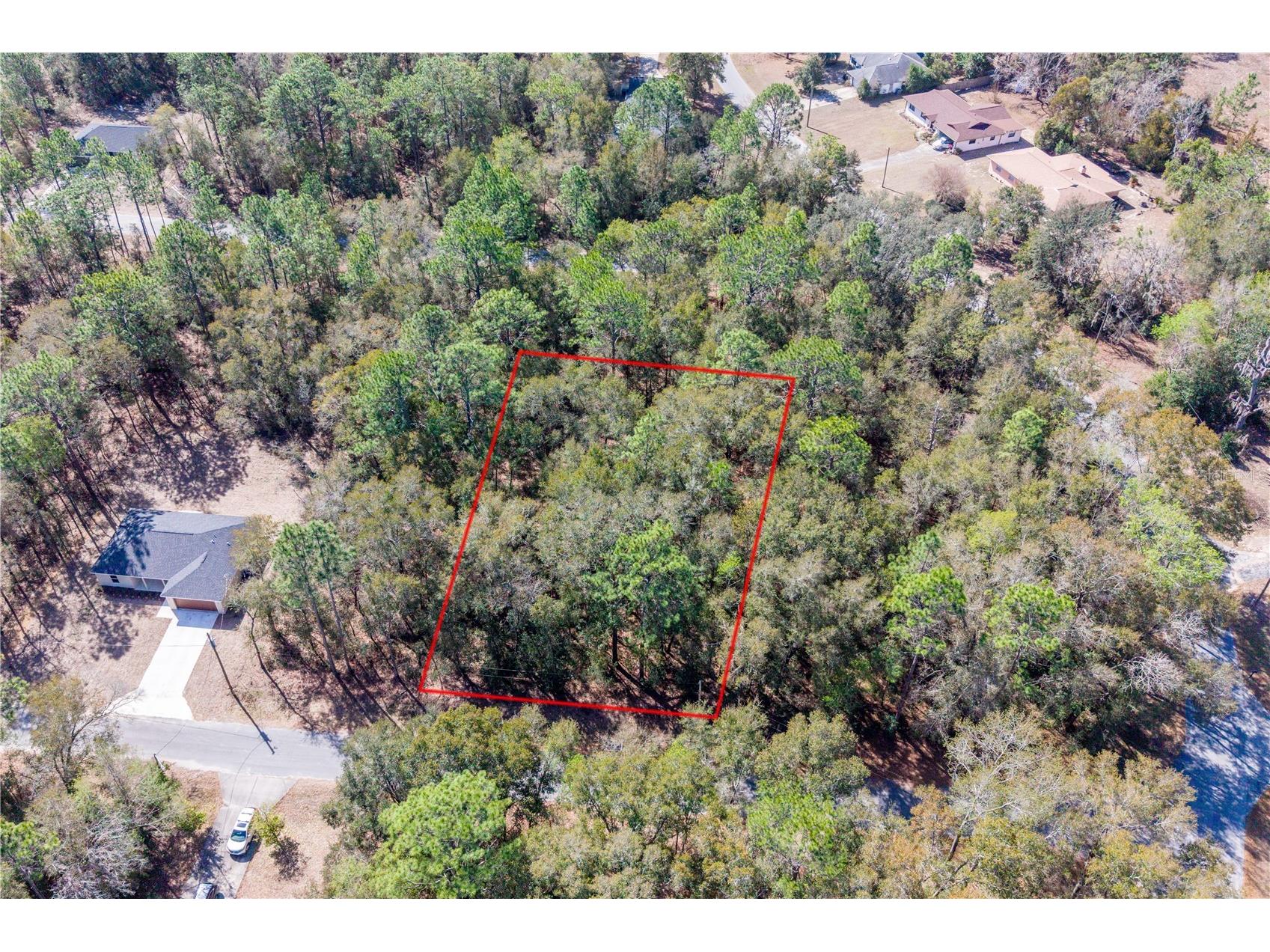 TBD NE 2nd St Lot 10 Williston FL 32696 GC537761 image1