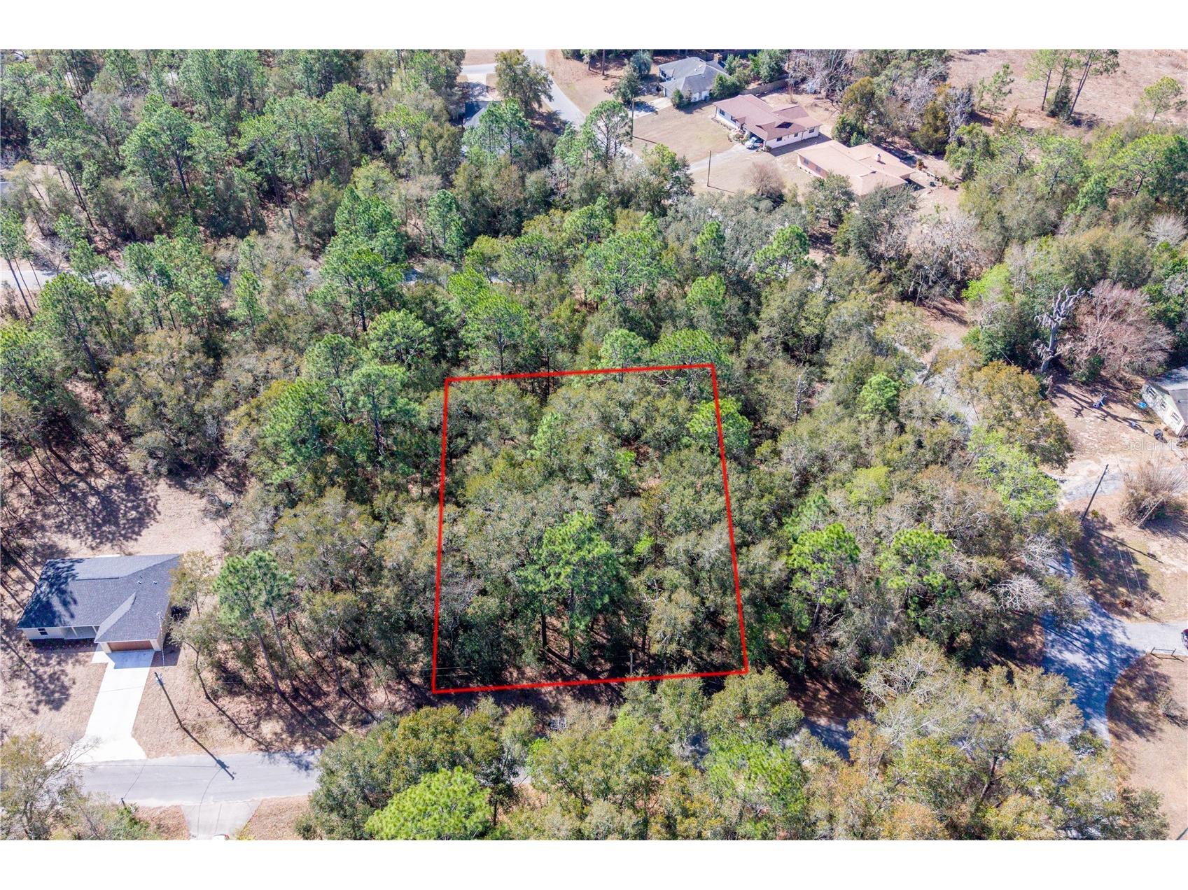 TBD NE 2nd St Lot 10 Williston FL 32696 GC537761 image2